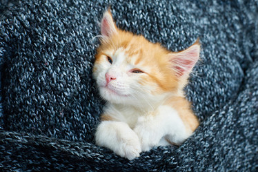 Similar image 22032296