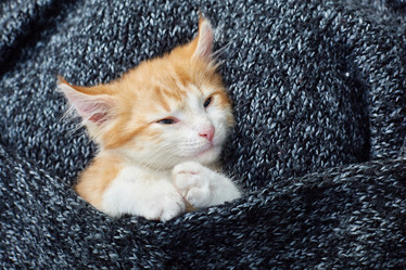 Similar image 22032297