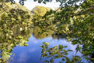 Similar image 22044738