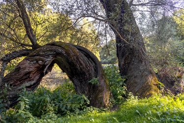 Similar image 22044739