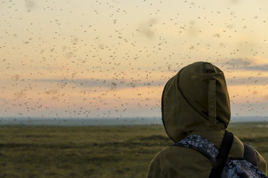 Similar image 22045722