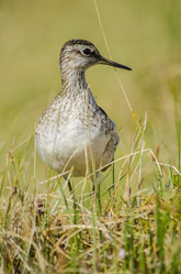 Similar image 22045723