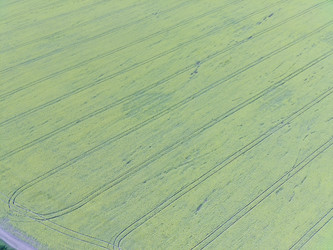 Similar image 22041343