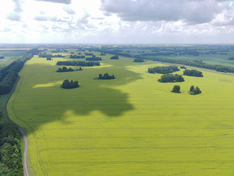 Similar image 22036813