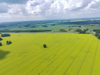 Similar image 22036814