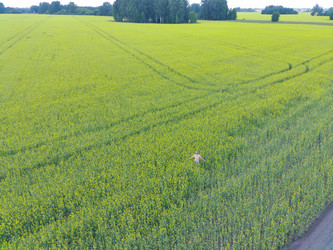 Similar image 22041392