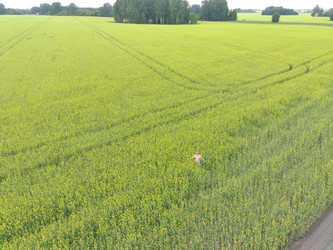 Similar image 22041393