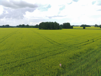 Similar image 22041394