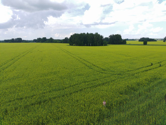 Similar image 22041396