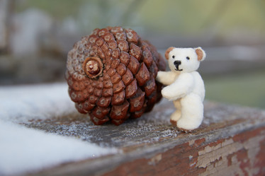 Similar image 22032609