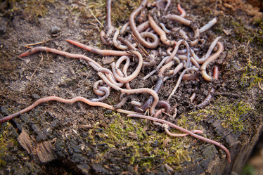 Similar image 22032618