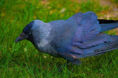 Similar image 22049718