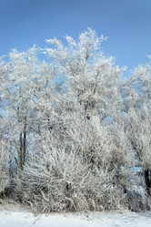 Similar image 22036820