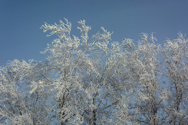 Similar image 22036821