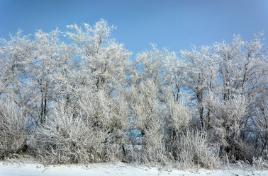 Similar image 22036822