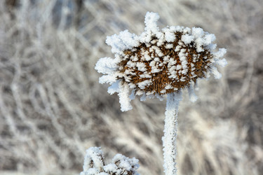 Similar image 22036823