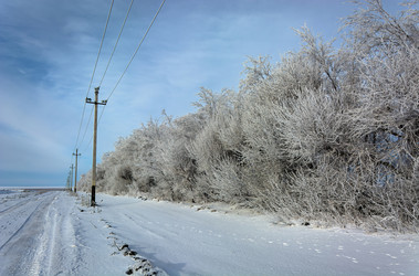 Similar image 22037007