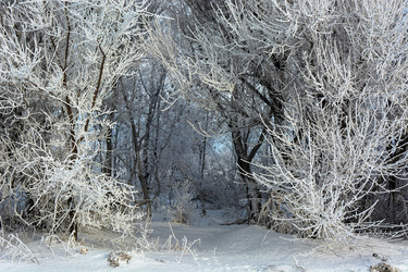 Similar image 22037008