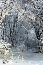 Similar image 22037009