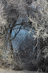 Similar image 22037010