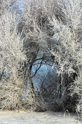 Similar image 22037011