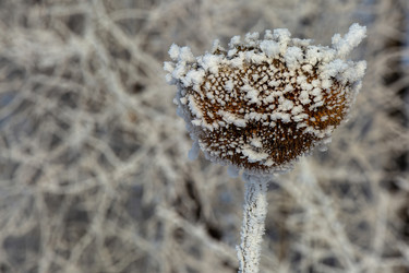 Similar image 22037074