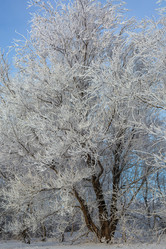 Similar image 22037075