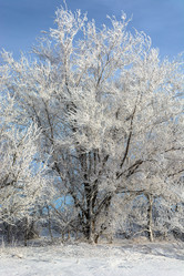 Similar image 22037076