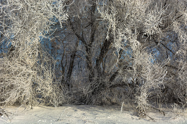 Similar image 22037077