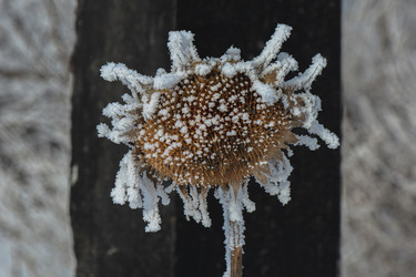 Similar image 22037078