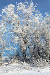 Similar image 22037079