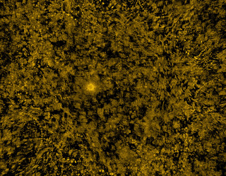 Similar image 22037416