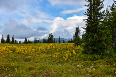 Similar image 22036827