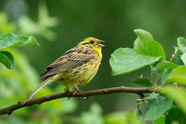 Similar image 22036849