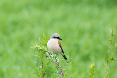 Similar image 22036859