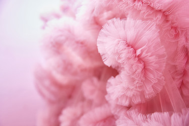 Similar image 22038091