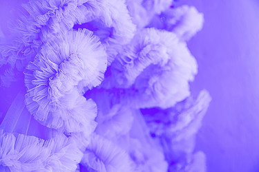 Similar image 22038093