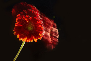 Similar image 22038097