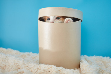 Similar image 22038102