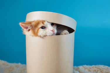 Similar image 22038103