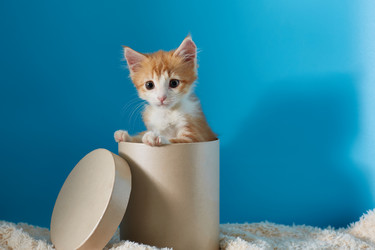 Similar image 22038104