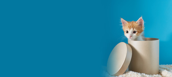 Similar image 22038107