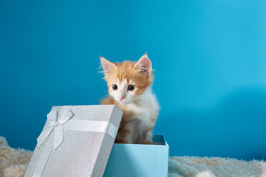 Similar image 22038111