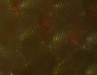 Similar image 22037471