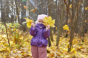 Similar image 22038253