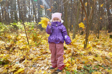 Similar image 22038117