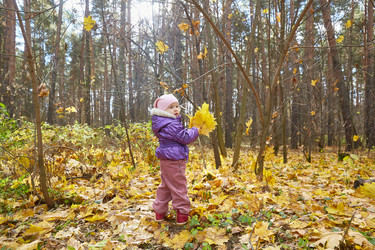 Similar image 22038121