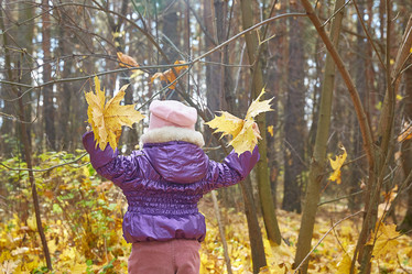 Similar image 22038125