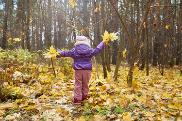 Similar image 22038127