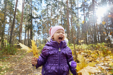 Similar image 22038131